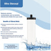 Ultra Fluoride Water Filter by British Berkefeld W9120133  (Berkey Compatible)