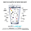 Epic Nalgene OG | 32 oz